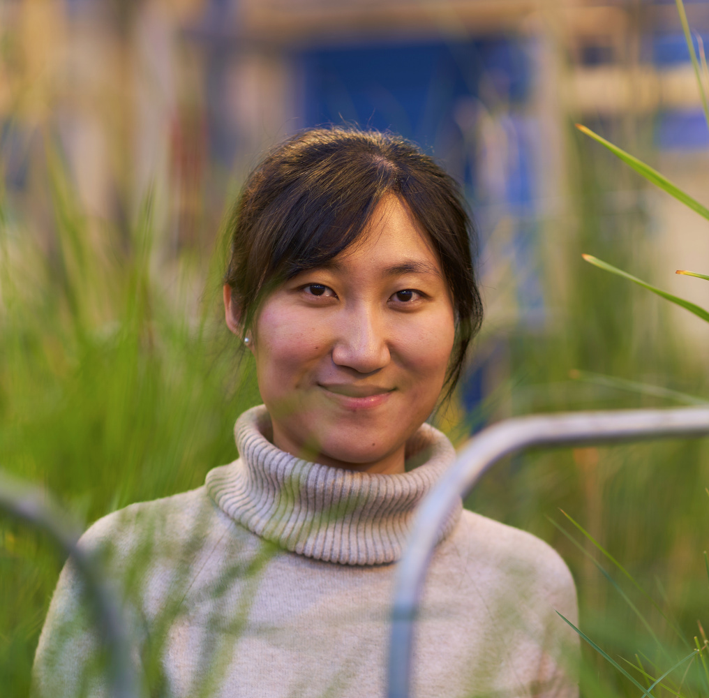 member portrait